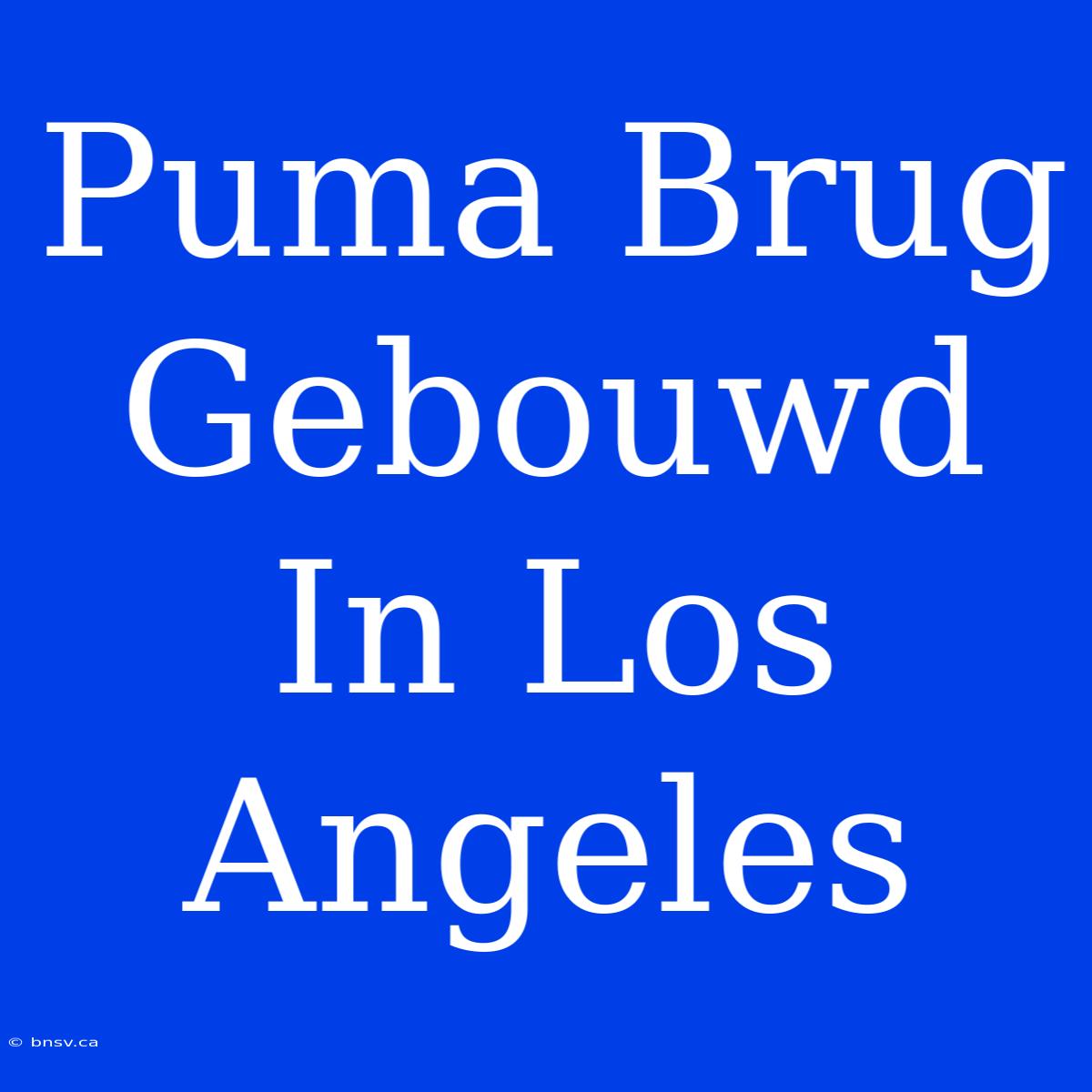 Puma Brug Gebouwd In Los Angeles