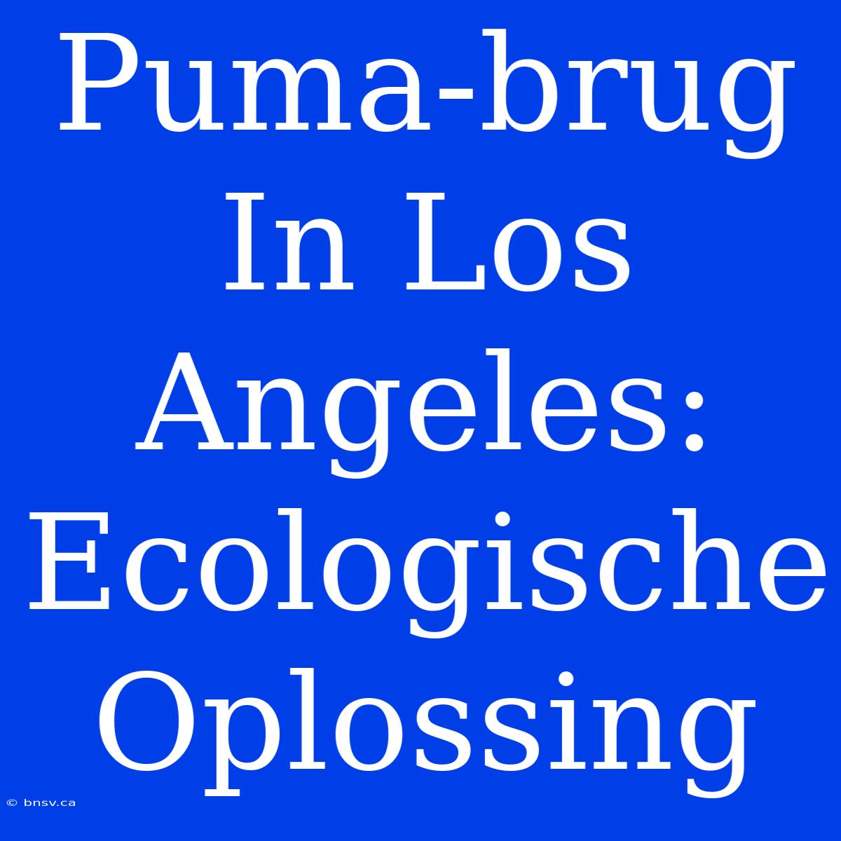 Puma-brug In Los Angeles: Ecologische Oplossing