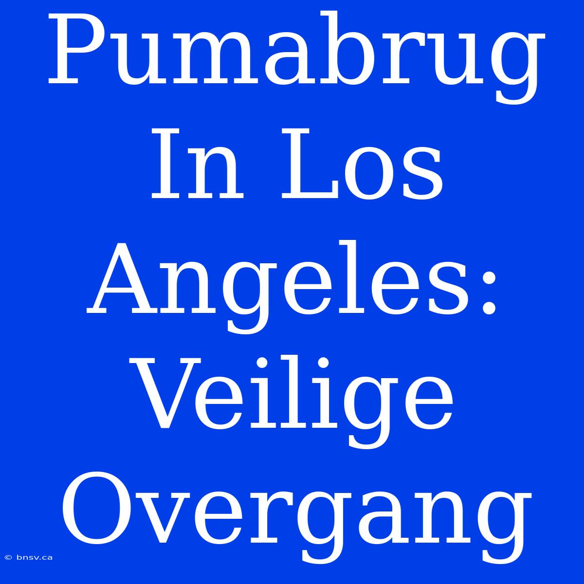 Pumabrug In Los Angeles: Veilige Overgang