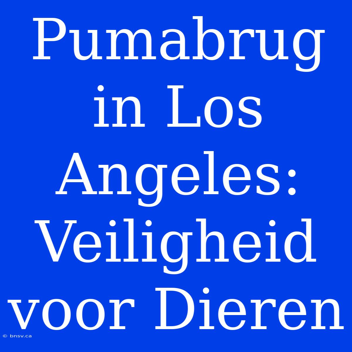 Pumabrug In Los Angeles: Veiligheid Voor Dieren