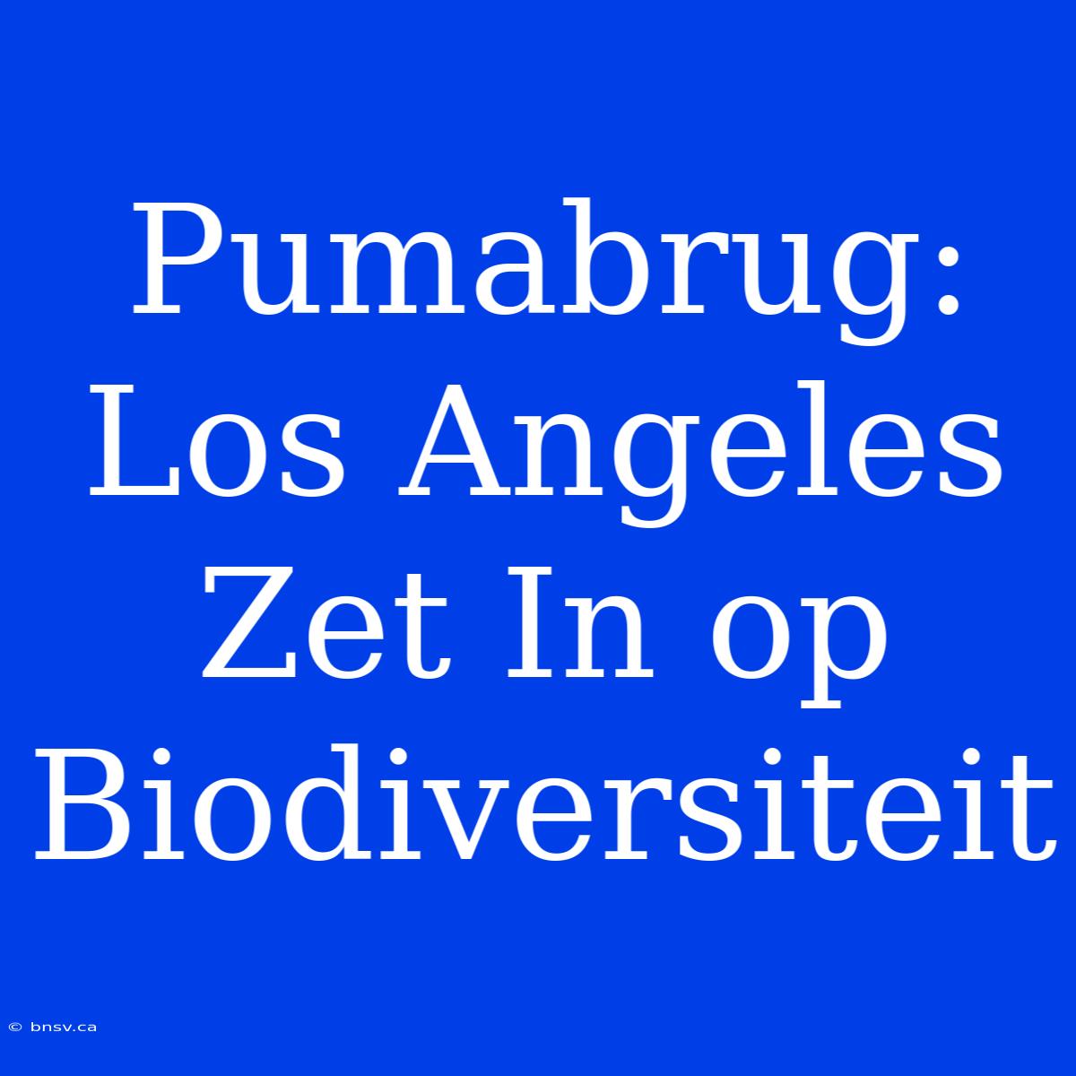 Pumabrug: Los Angeles Zet In Op Biodiversiteit