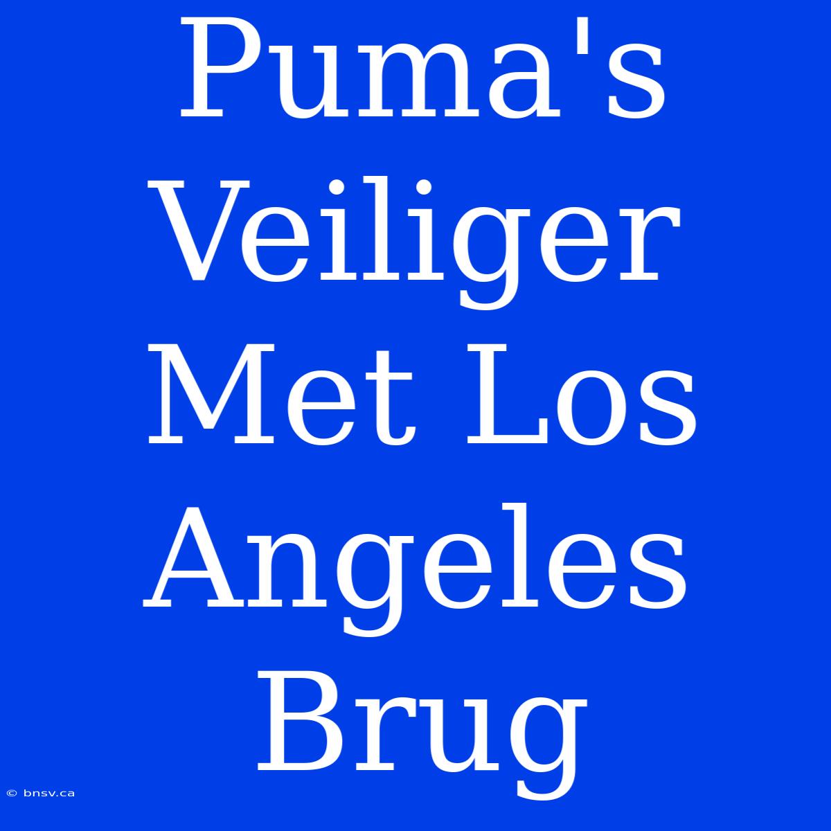 Puma's Veiliger Met Los Angeles Brug