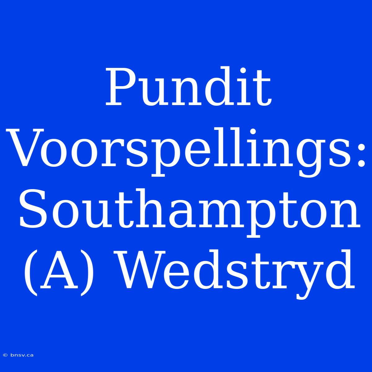 Pundit Voorspellings: Southampton (A) Wedstryd