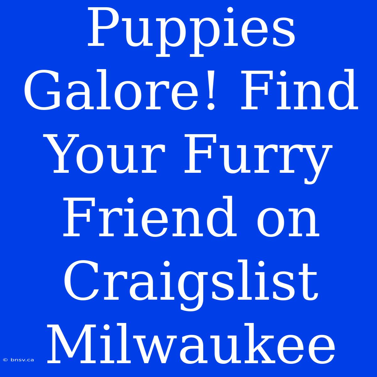 Puppies Galore! Find Your Furry Friend On Craigslist Milwaukee