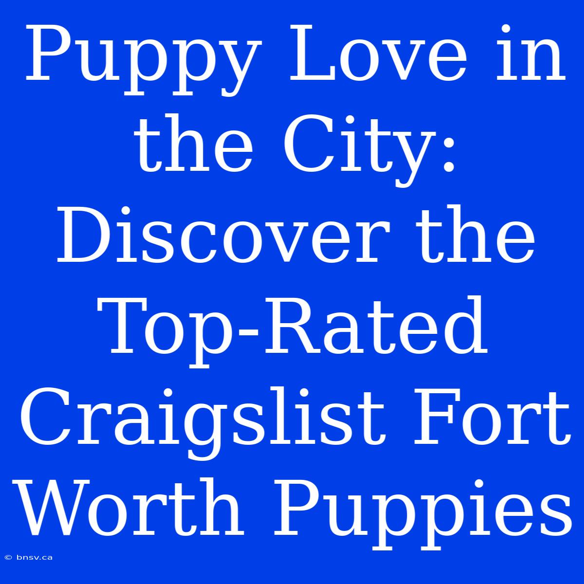 Puppy Love In The City: Discover The Top-Rated Craigslist Fort Worth Puppies