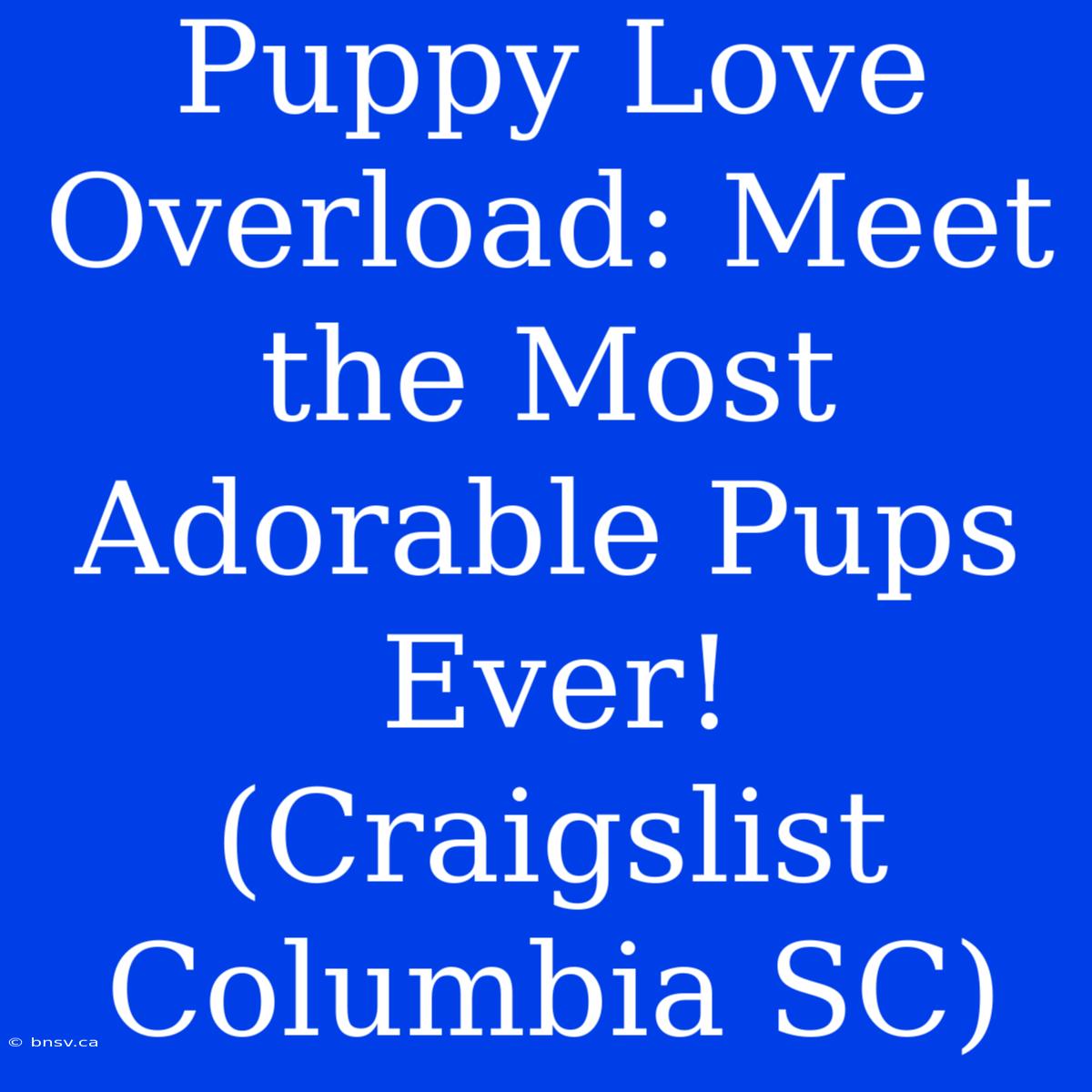 Puppy Love Overload: Meet The Most Adorable Pups Ever! (Craigslist Columbia SC)