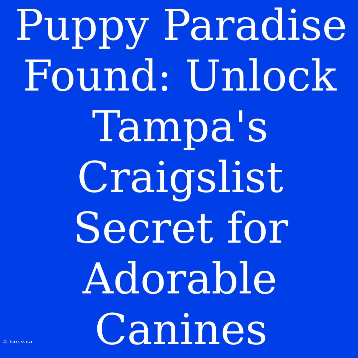 Puppy Paradise Found: Unlock Tampa's Craigslist Secret For Adorable Canines