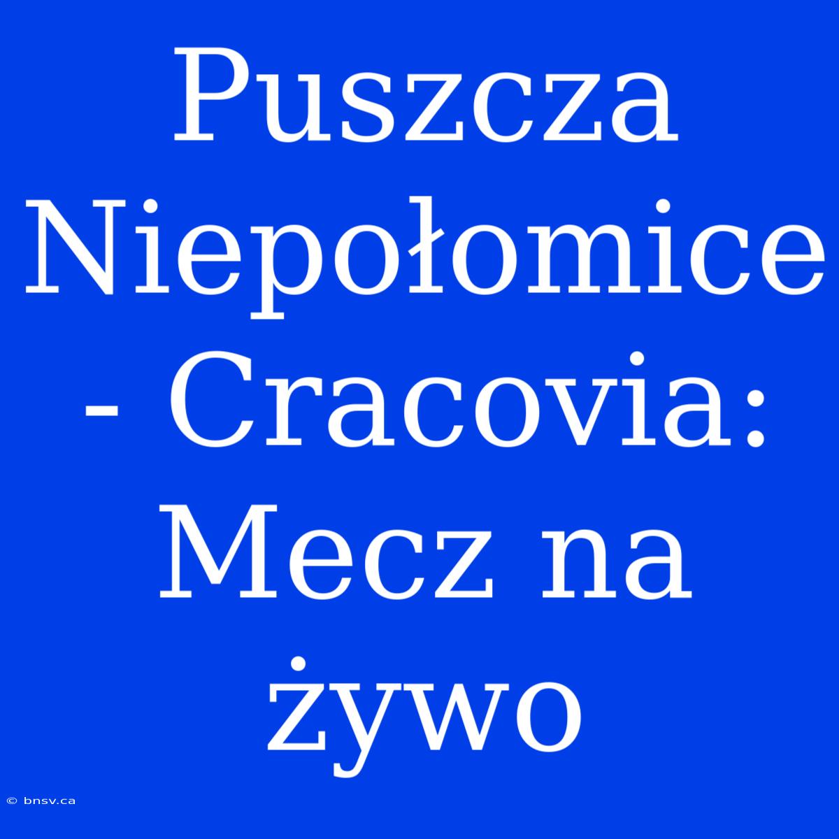 Puszcza Niepołomice - Cracovia: Mecz Na Żywo