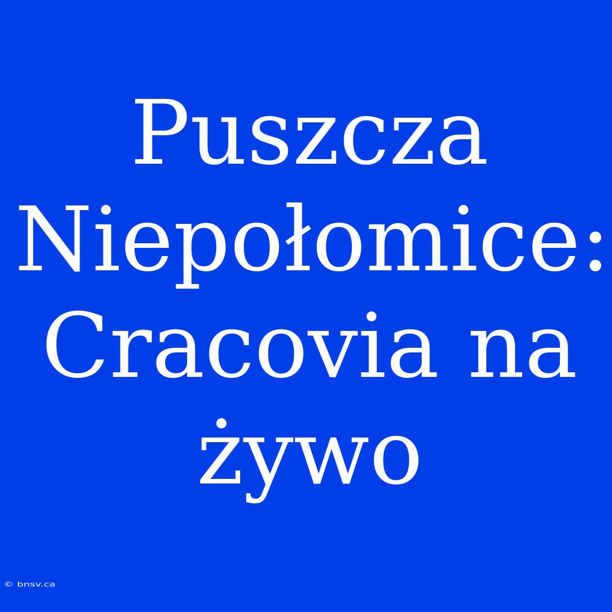 Puszcza Niepołomice: Cracovia Na Żywo