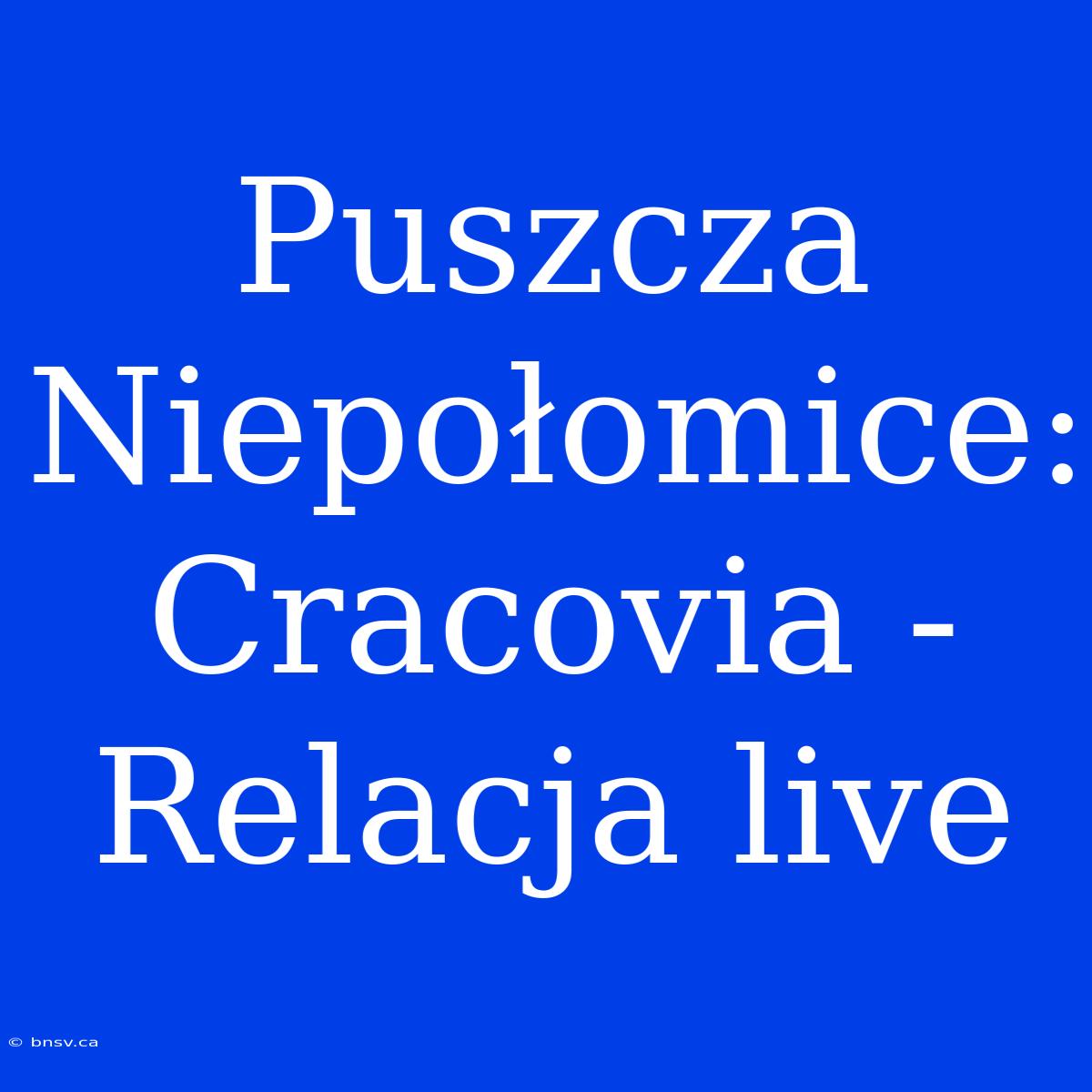 Puszcza Niepołomice: Cracovia - Relacja Live