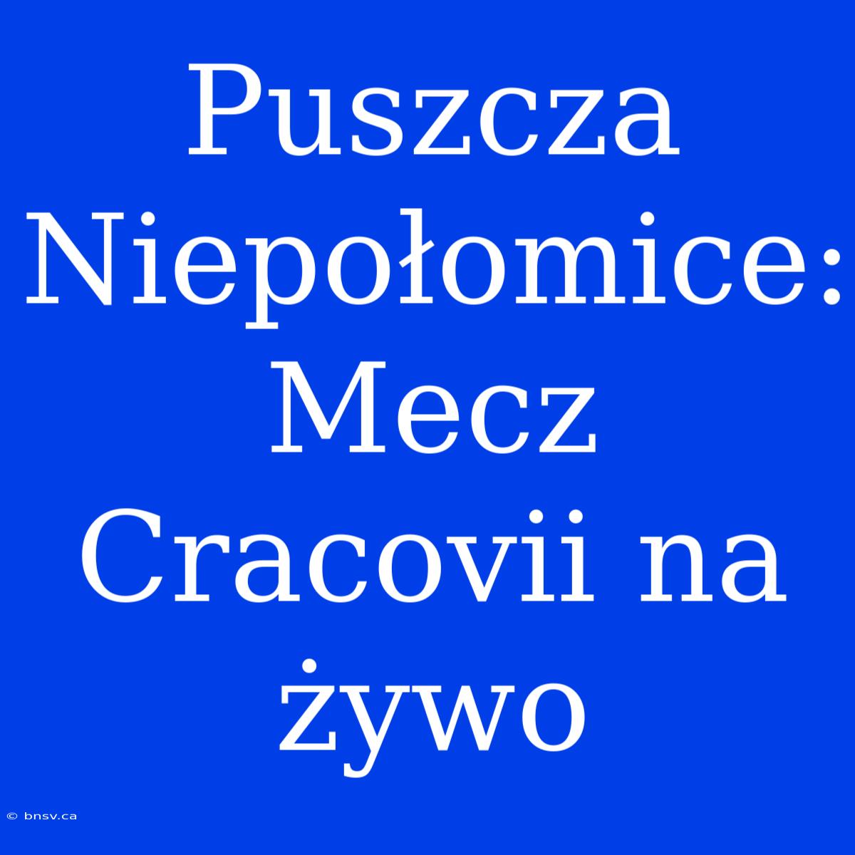 Puszcza Niepołomice: Mecz Cracovii Na Żywo