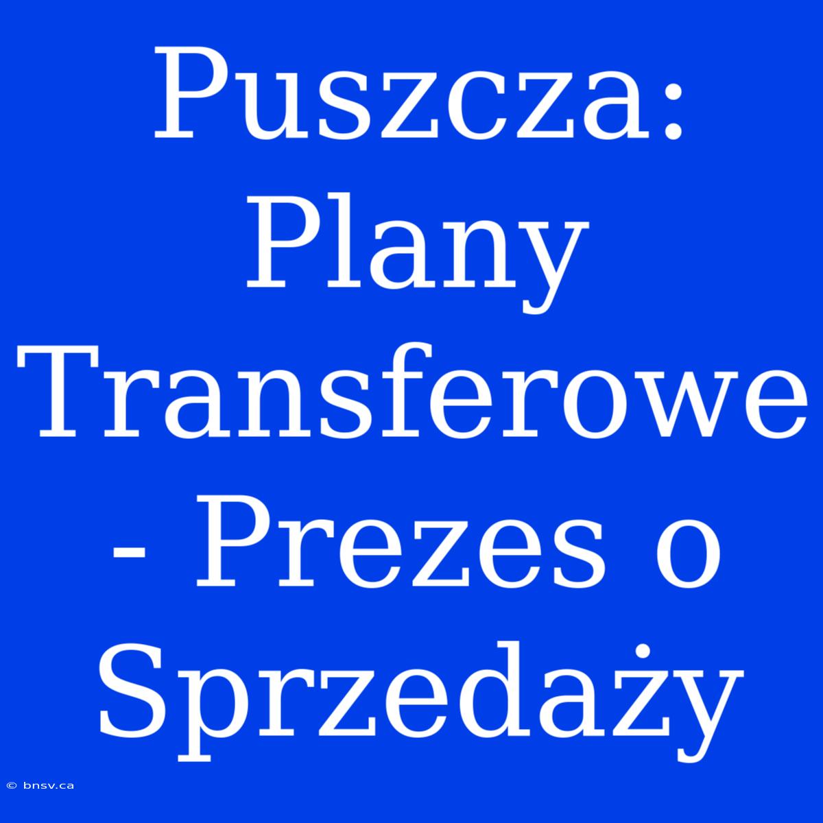 Puszcza: Plany Transferowe - Prezes O Sprzedaży