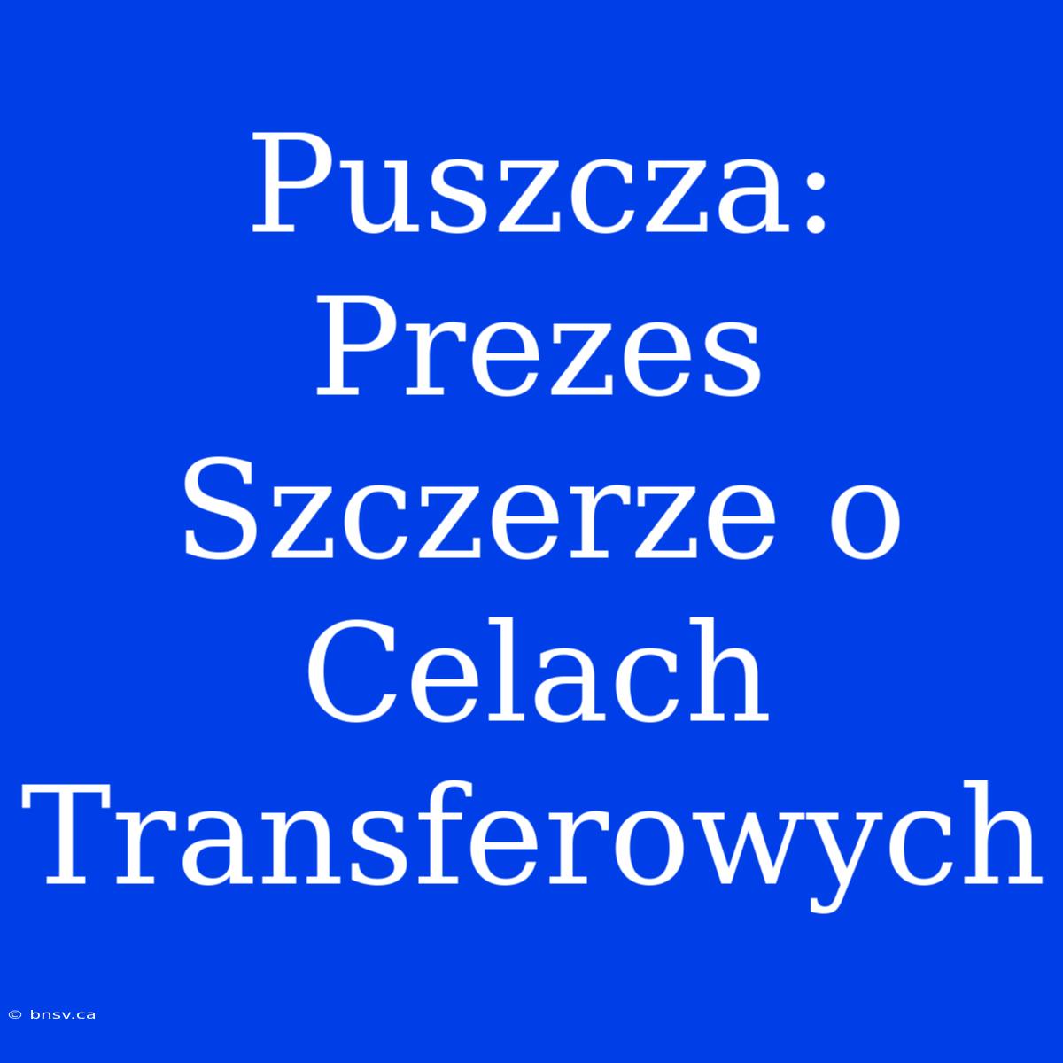 Puszcza: Prezes Szczerze O Celach Transferowych