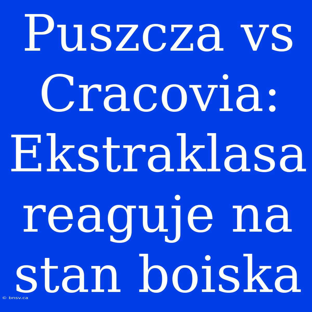 Puszcza Vs Cracovia: Ekstraklasa Reaguje Na Stan Boiska