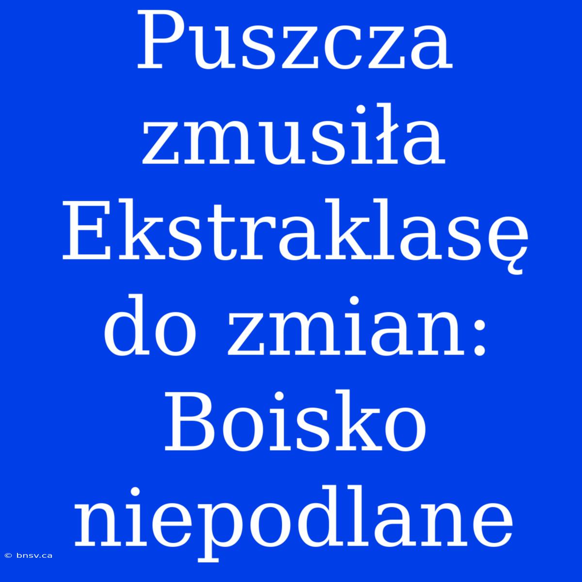 Puszcza Zmusiła Ekstraklasę Do Zmian: Boisko Niepodlane