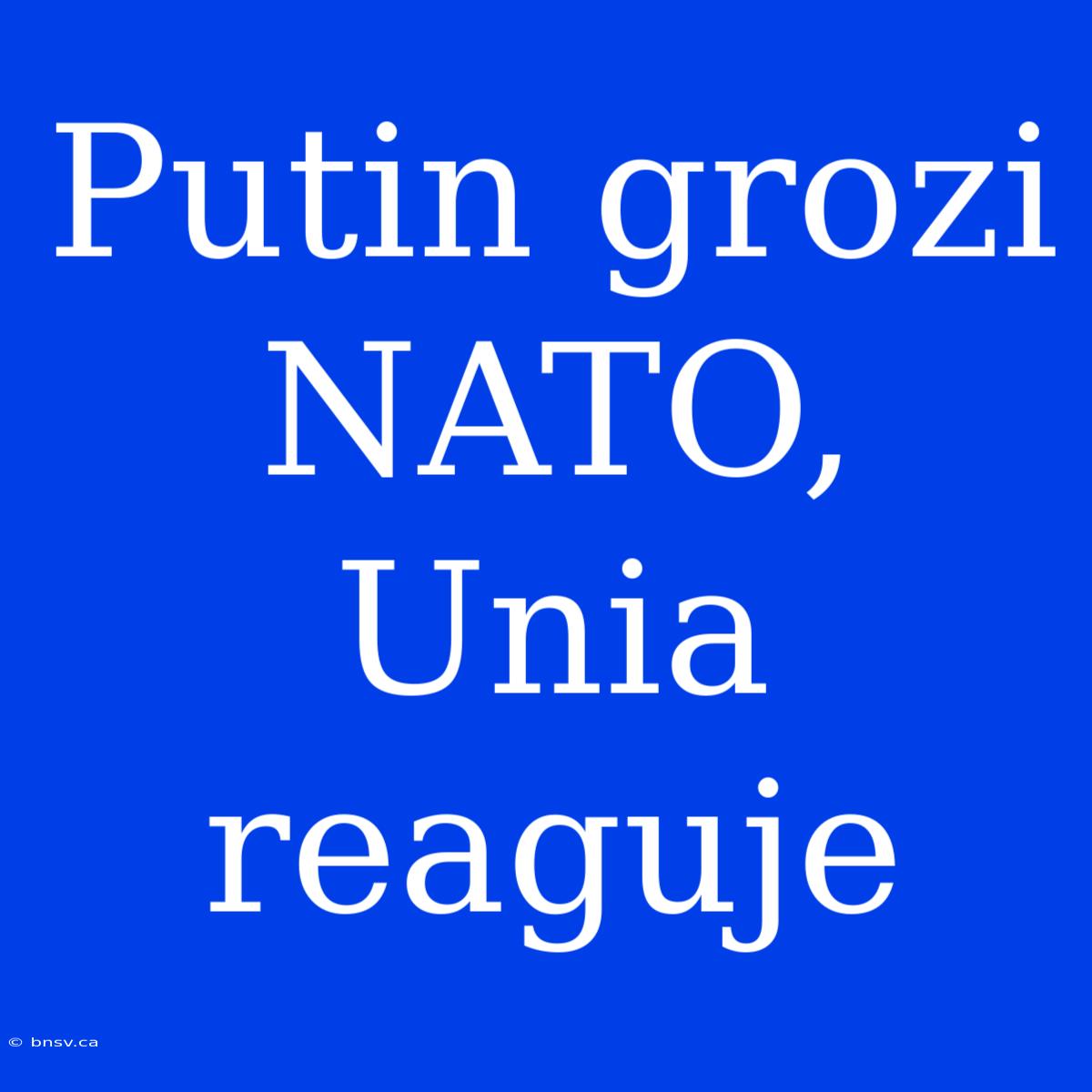 Putin Grozi NATO, Unia Reaguje