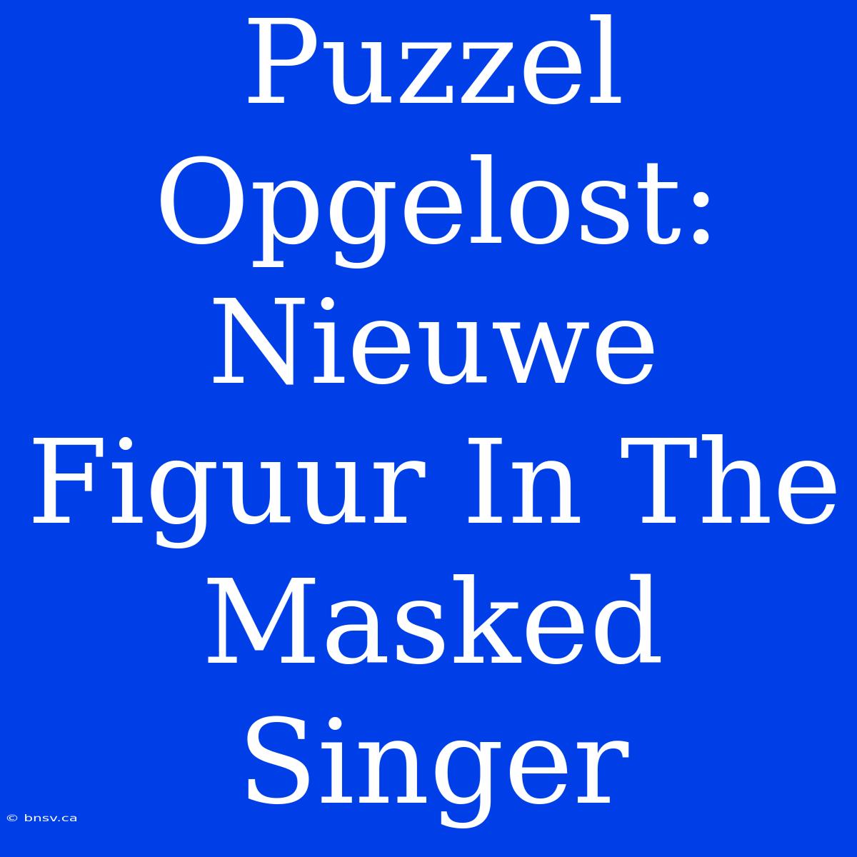 Puzzel Opgelost:  Nieuwe Figuur In The Masked Singer