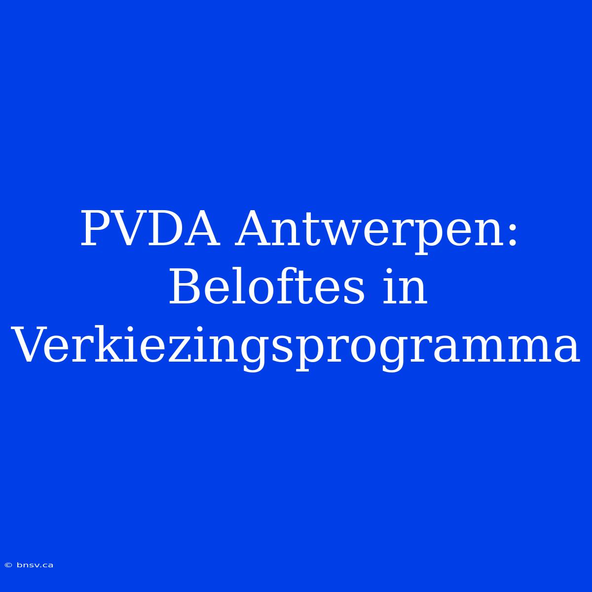 PVDA Antwerpen: Beloftes In Verkiezingsprogramma