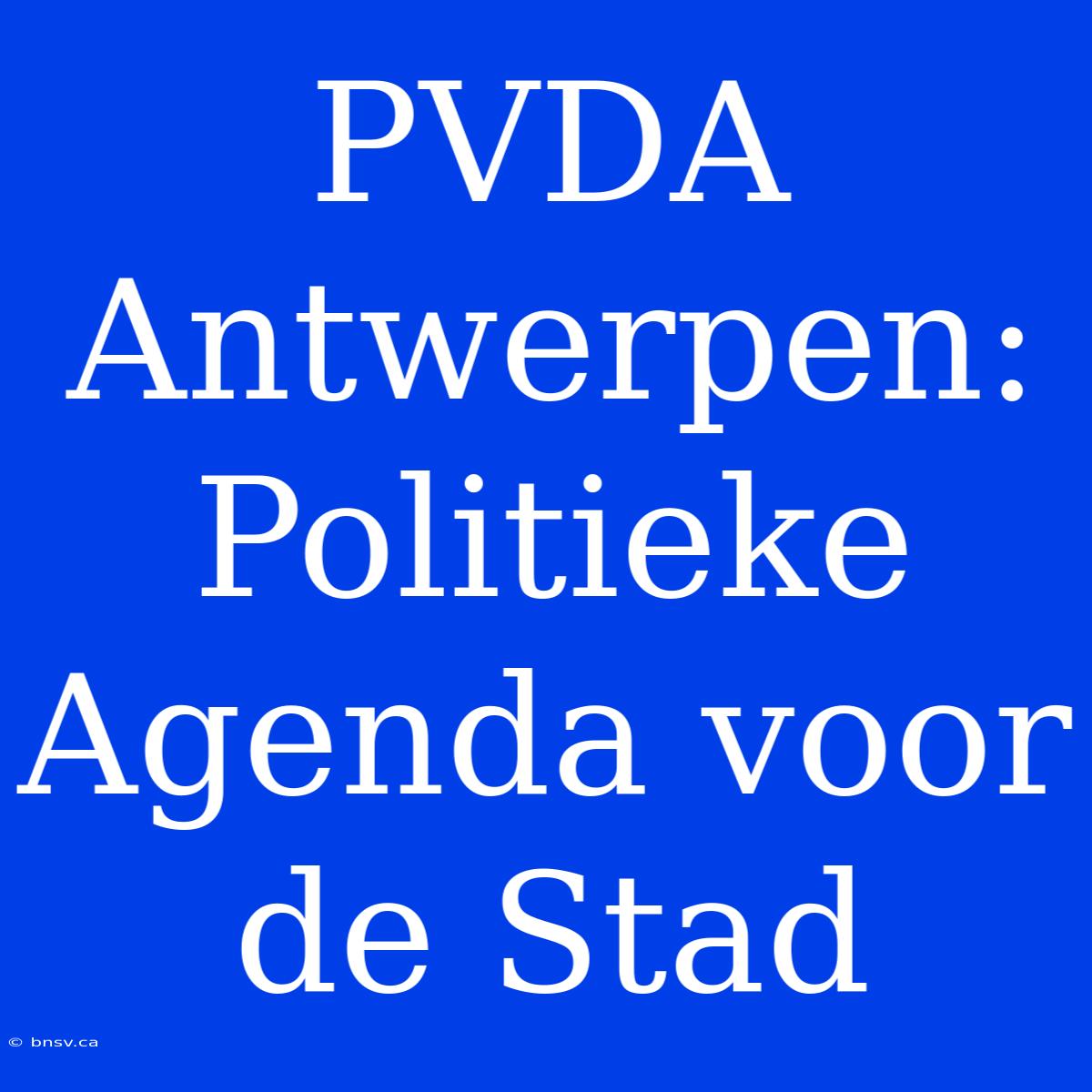 PVDA Antwerpen: Politieke Agenda Voor De Stad