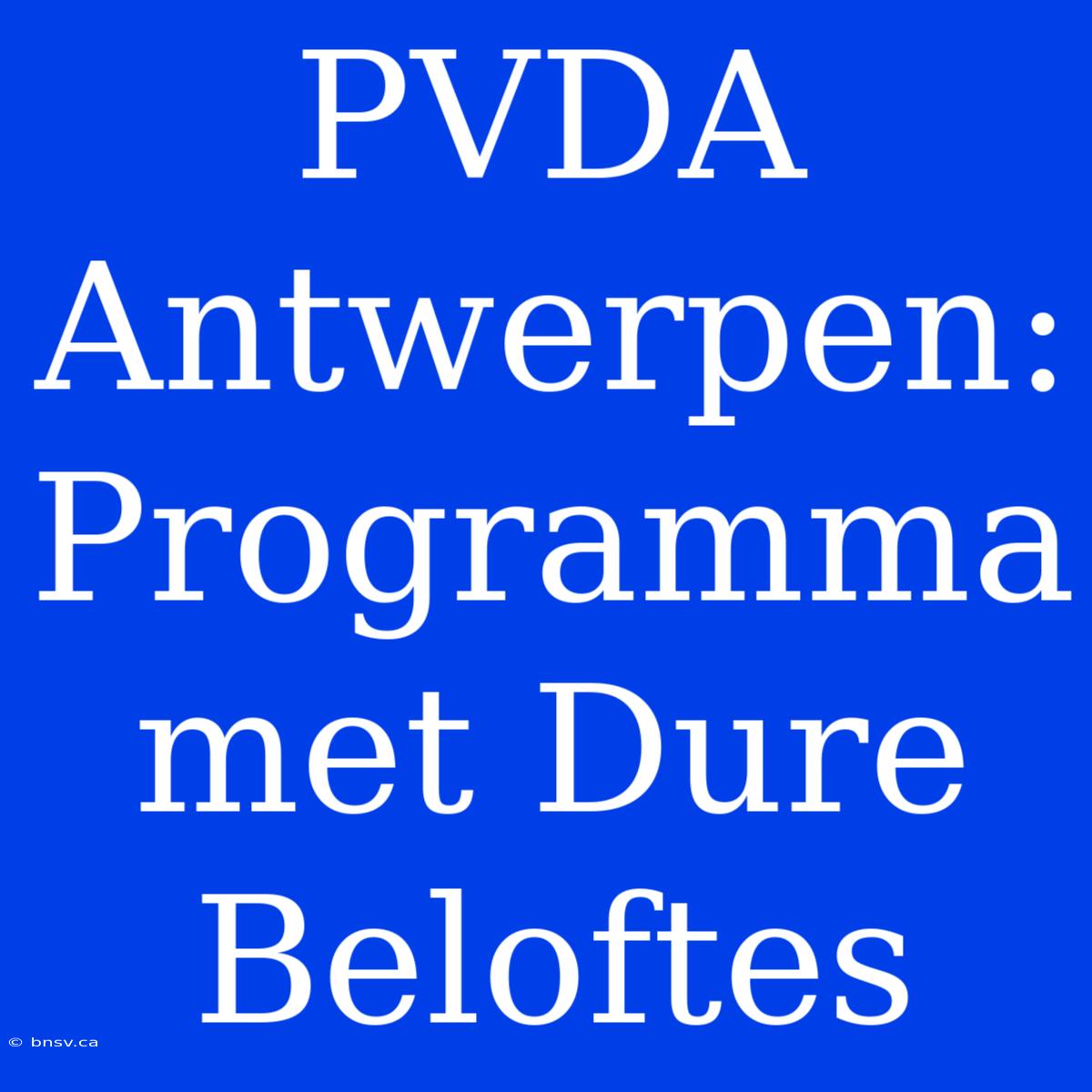 PVDA Antwerpen: Programma Met Dure Beloftes