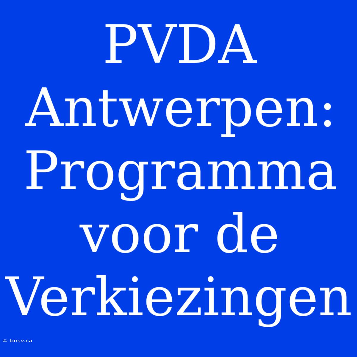 PVDA Antwerpen: Programma Voor De Verkiezingen