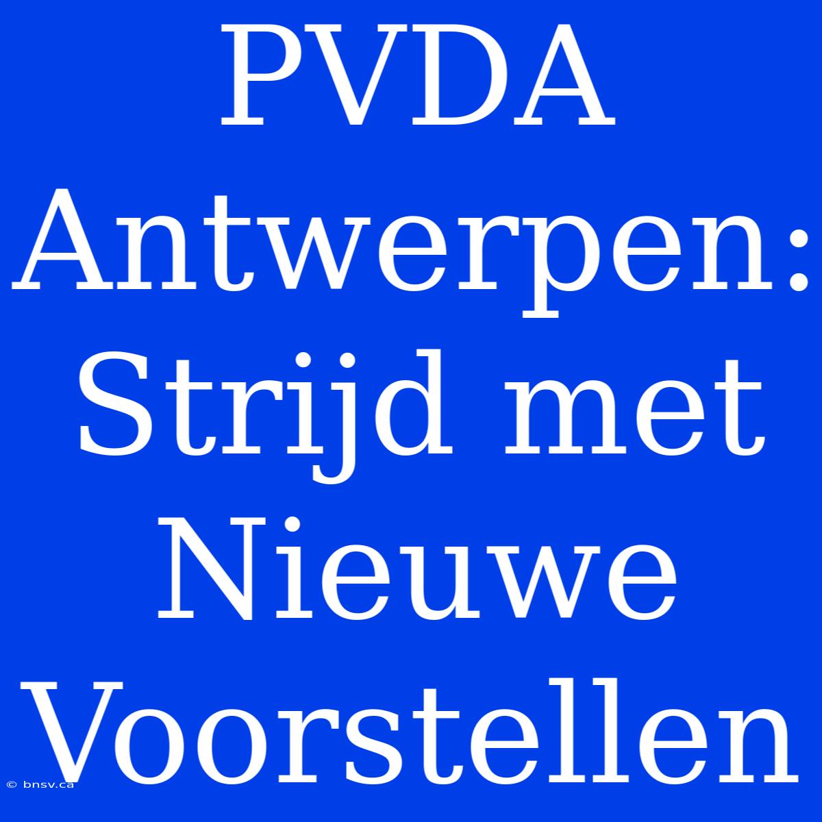 PVDA Antwerpen: Strijd Met Nieuwe Voorstellen