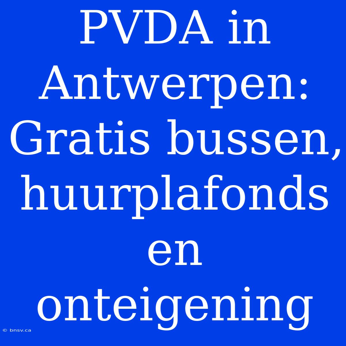 PVDA In Antwerpen: Gratis Bussen, Huurplafonds En Onteigening