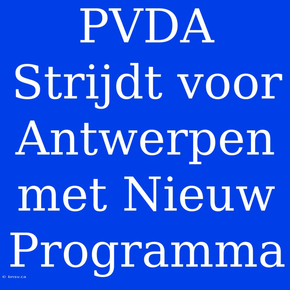 PVDA Strijdt Voor Antwerpen Met Nieuw Programma