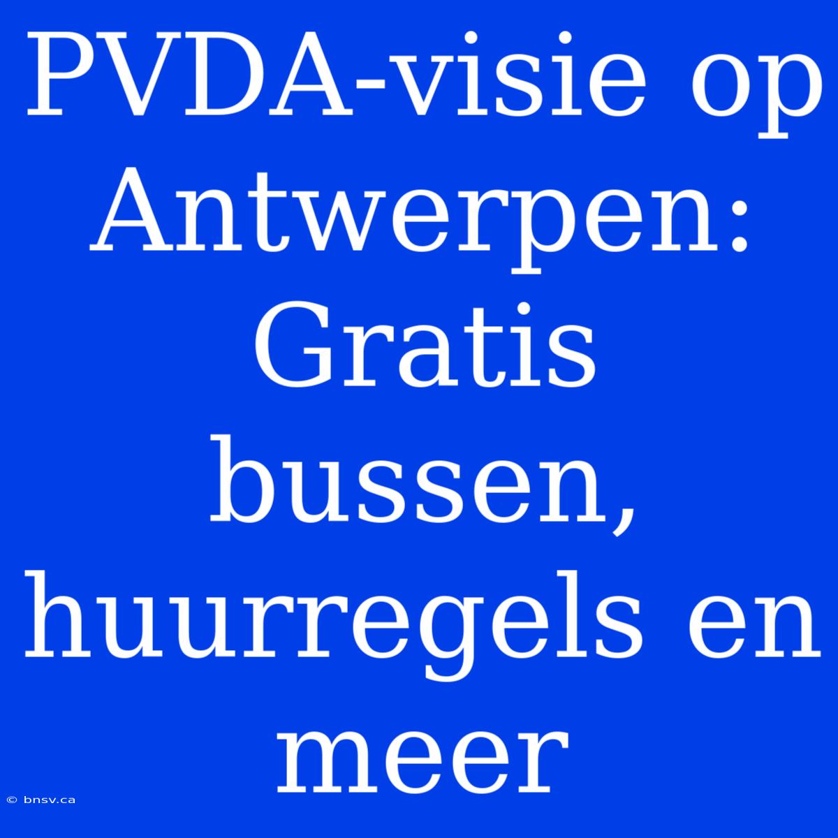 PVDA-visie Op Antwerpen: Gratis Bussen, Huurregels En Meer