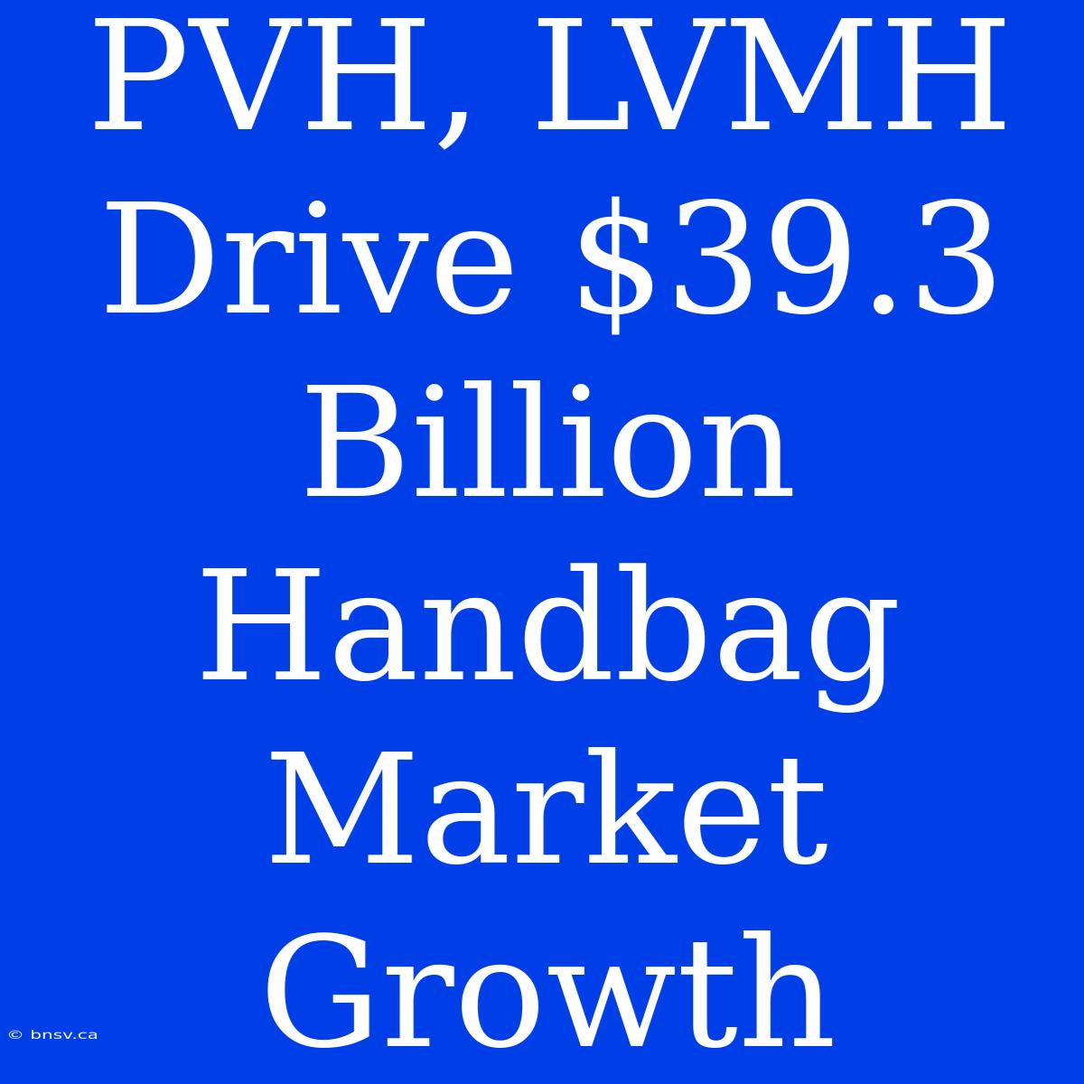 PVH, LVMH Drive $39.3 Billion Handbag Market Growth