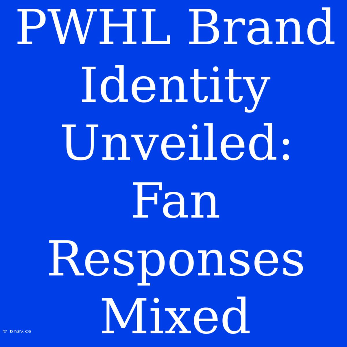 PWHL Brand Identity Unveiled: Fan Responses Mixed