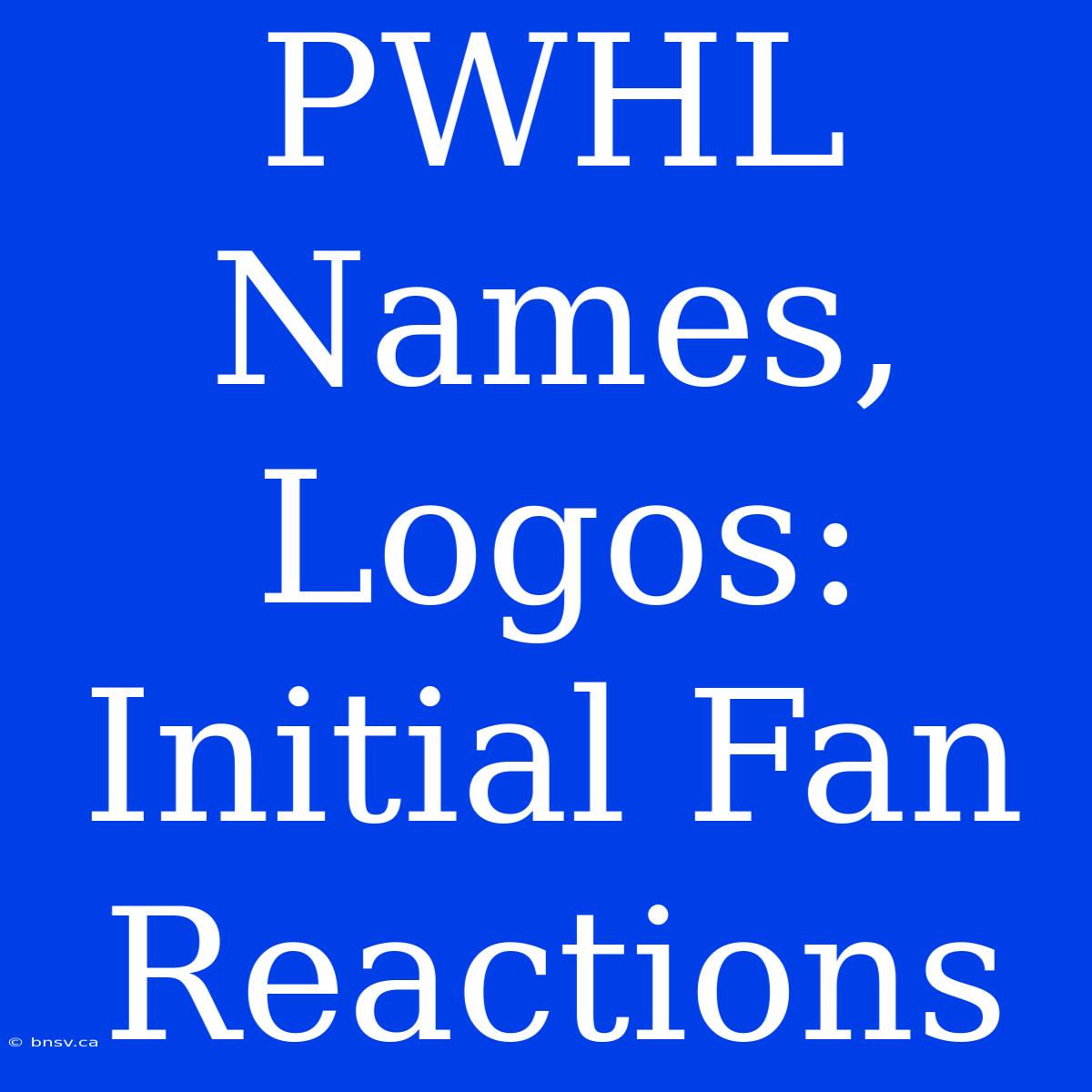 PWHL Names, Logos: Initial Fan Reactions