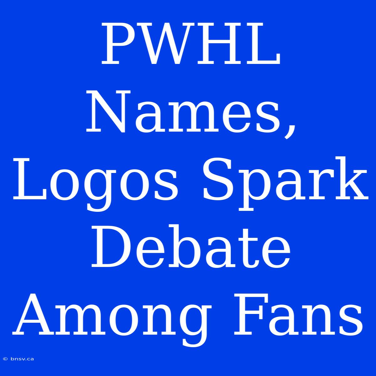 PWHL Names, Logos Spark Debate Among Fans