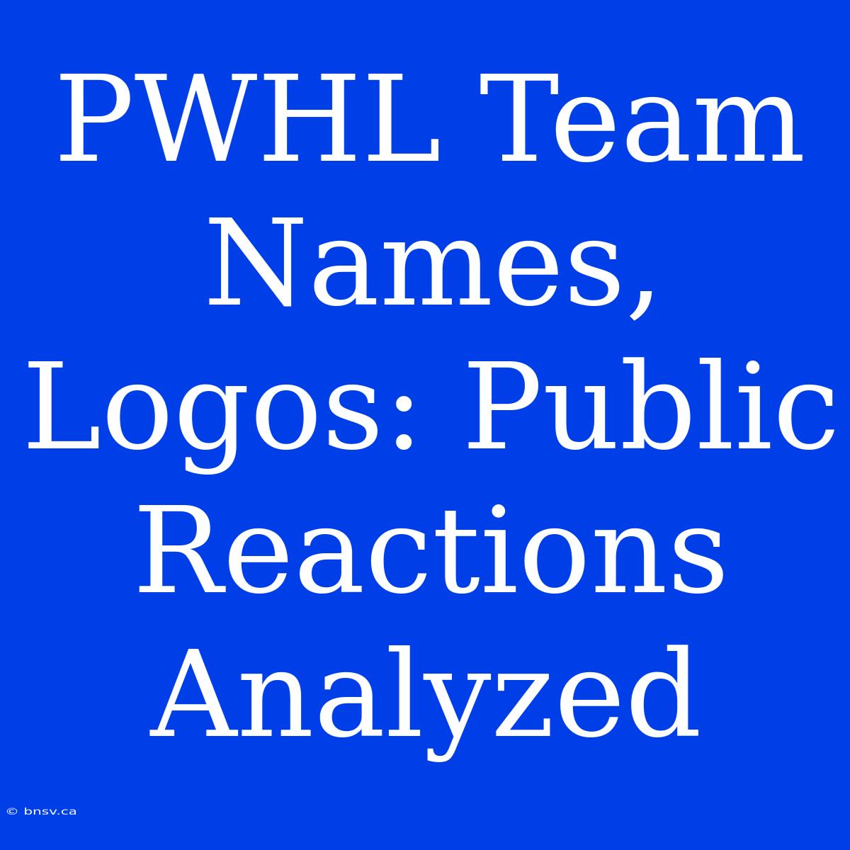 PWHL Team Names, Logos: Public Reactions Analyzed