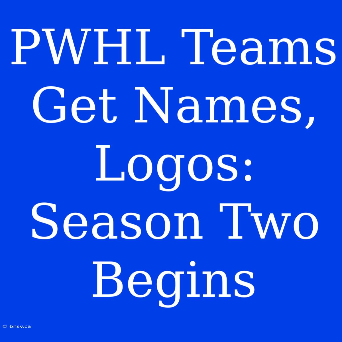 PWHL Teams Get Names, Logos: Season Two Begins