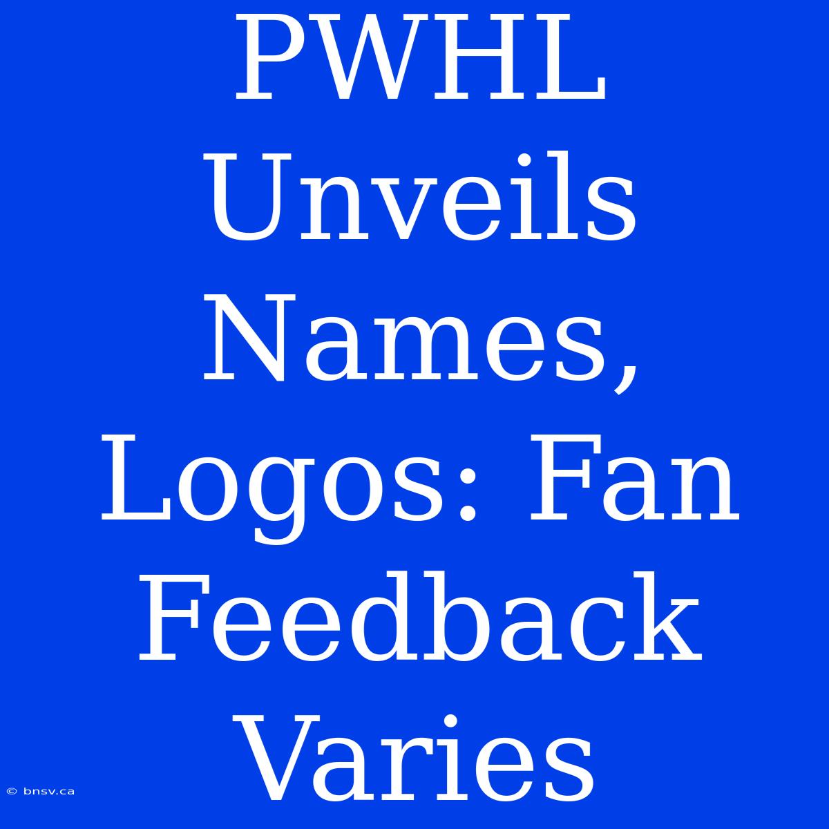 PWHL Unveils Names, Logos: Fan Feedback Varies