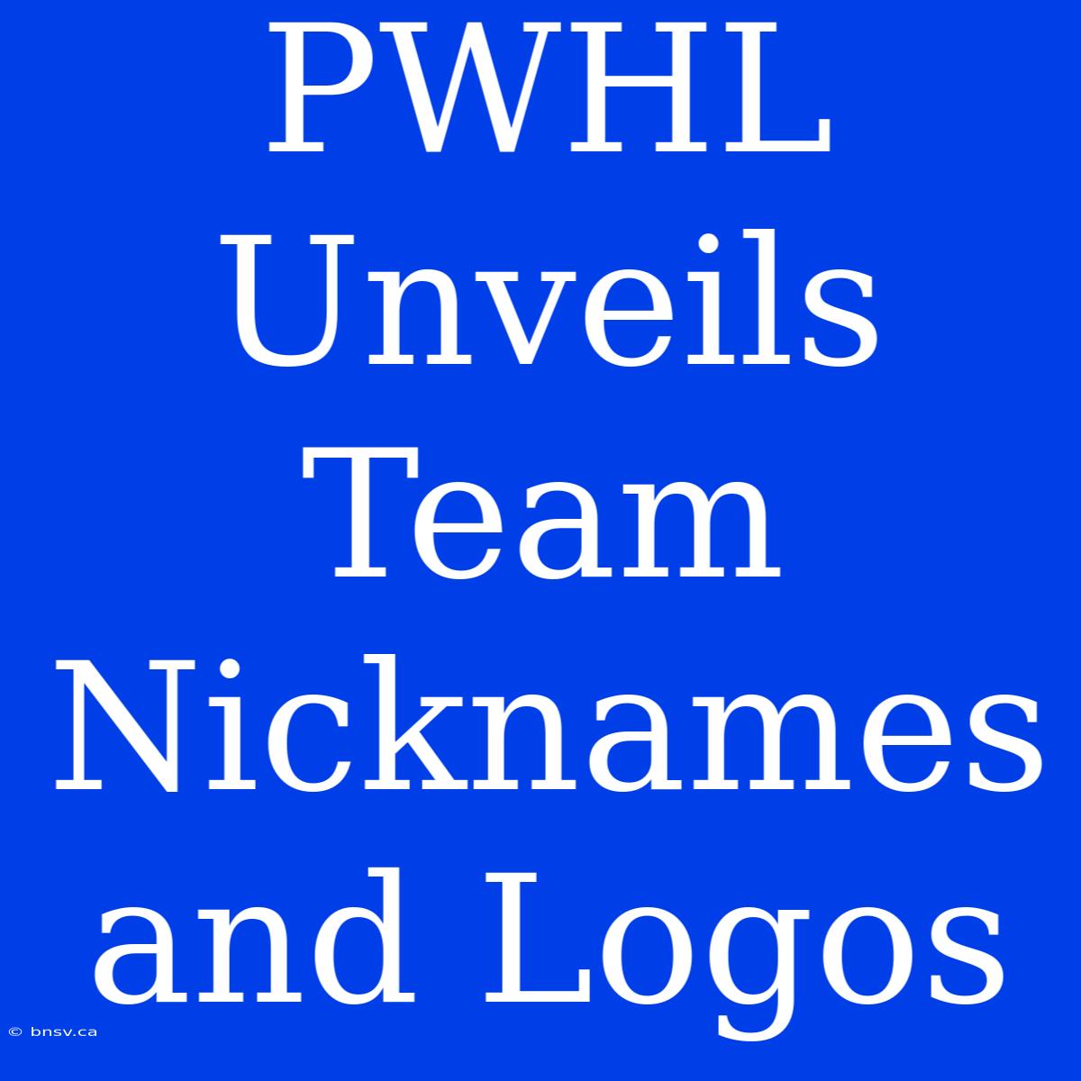 PWHL Unveils Team Nicknames And Logos