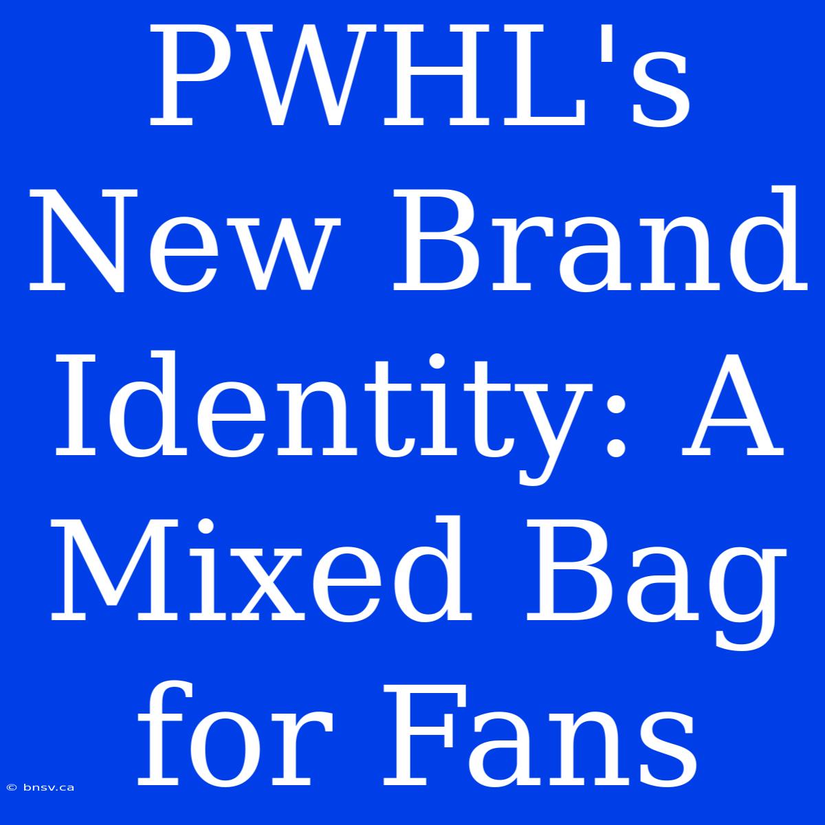 PWHL's New Brand Identity: A Mixed Bag For Fans