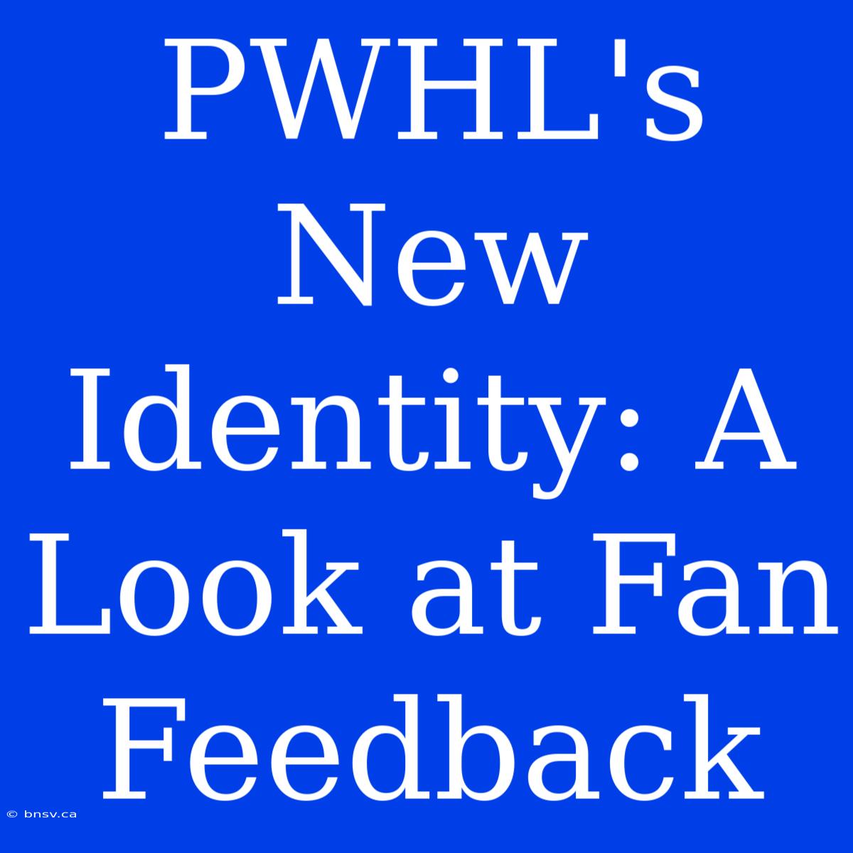 PWHL's New Identity: A Look At Fan Feedback