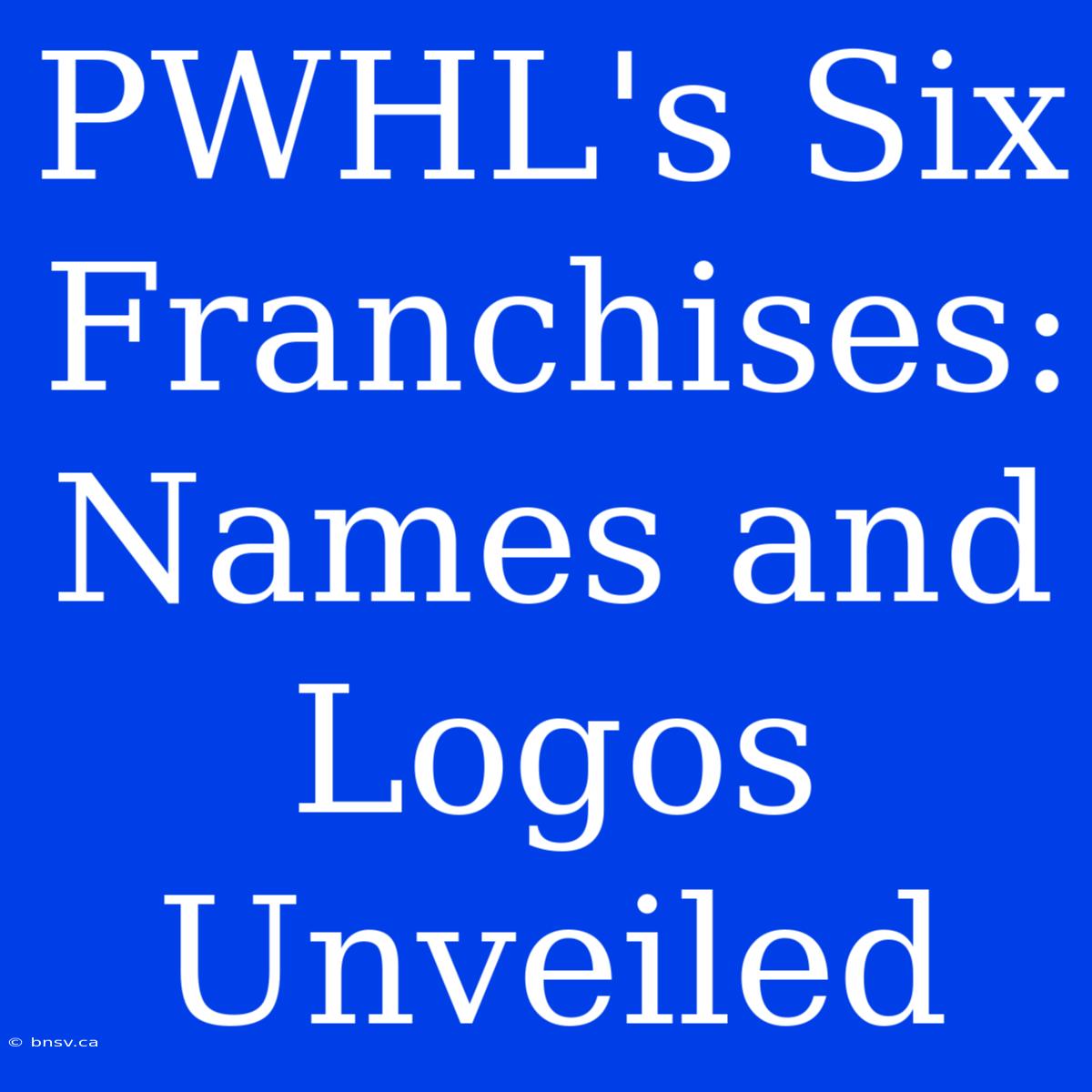 PWHL's Six Franchises: Names And Logos Unveiled