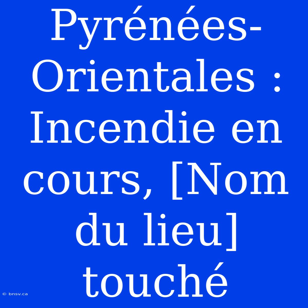 Pyrénées-Orientales : Incendie En Cours, [Nom Du Lieu] Touché