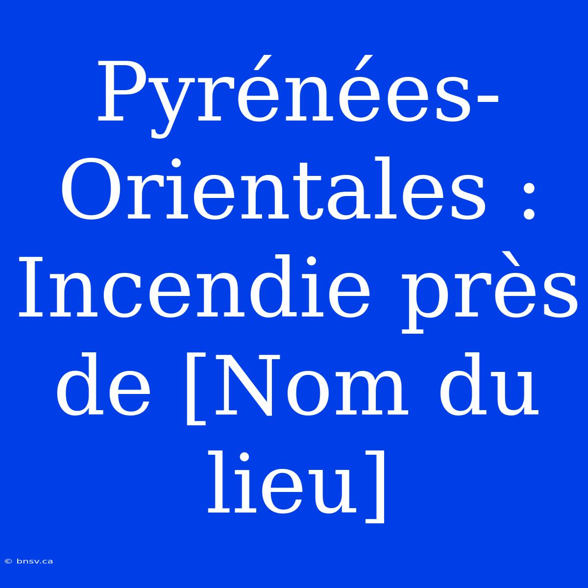 Pyrénées-Orientales : Incendie Près De [Nom Du Lieu]