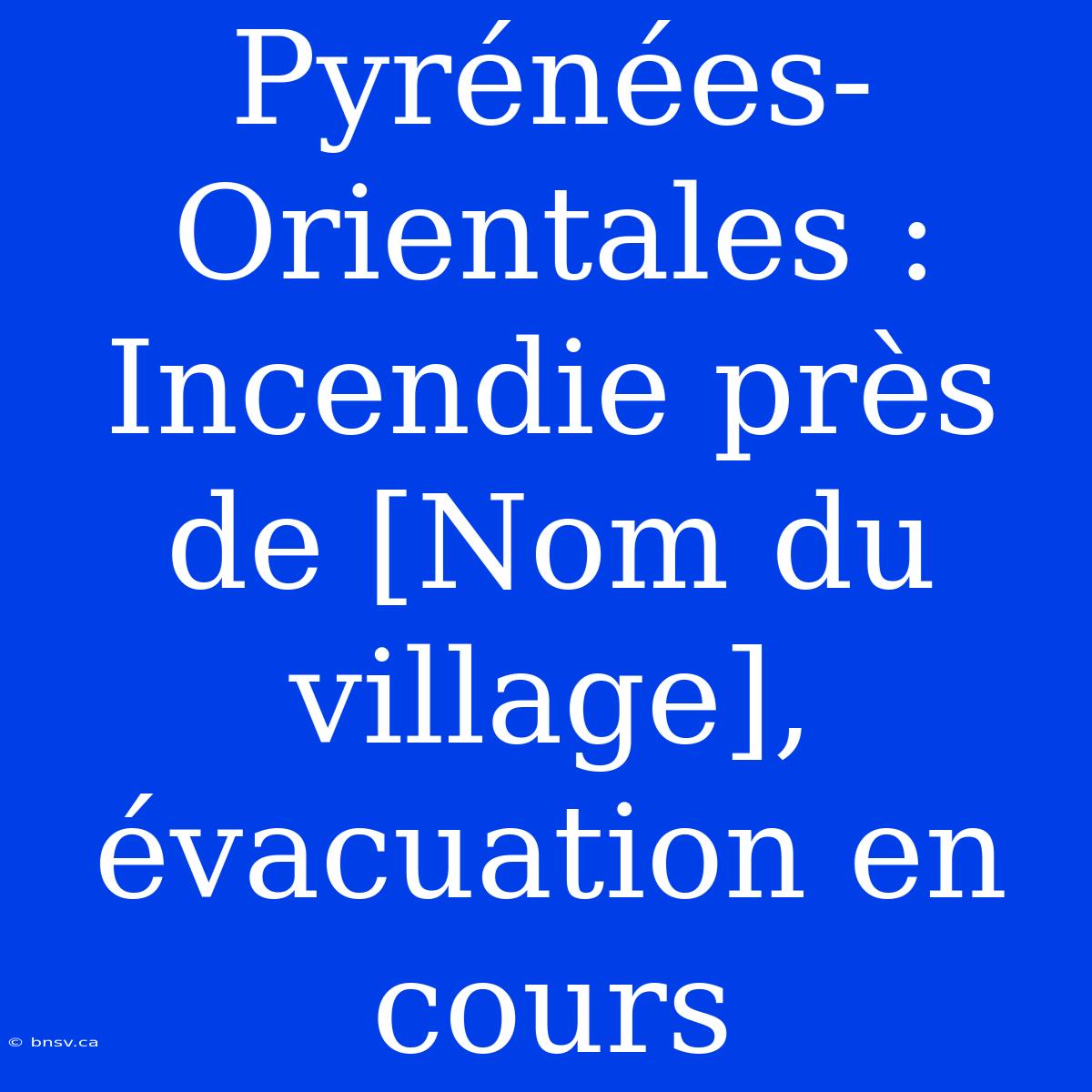 Pyrénées-Orientales : Incendie Près De [Nom Du Village], Évacuation En Cours