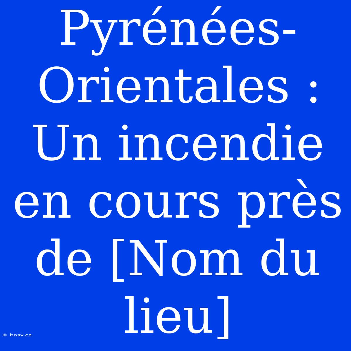 Pyrénées-Orientales : Un Incendie En Cours Près De [Nom Du Lieu]