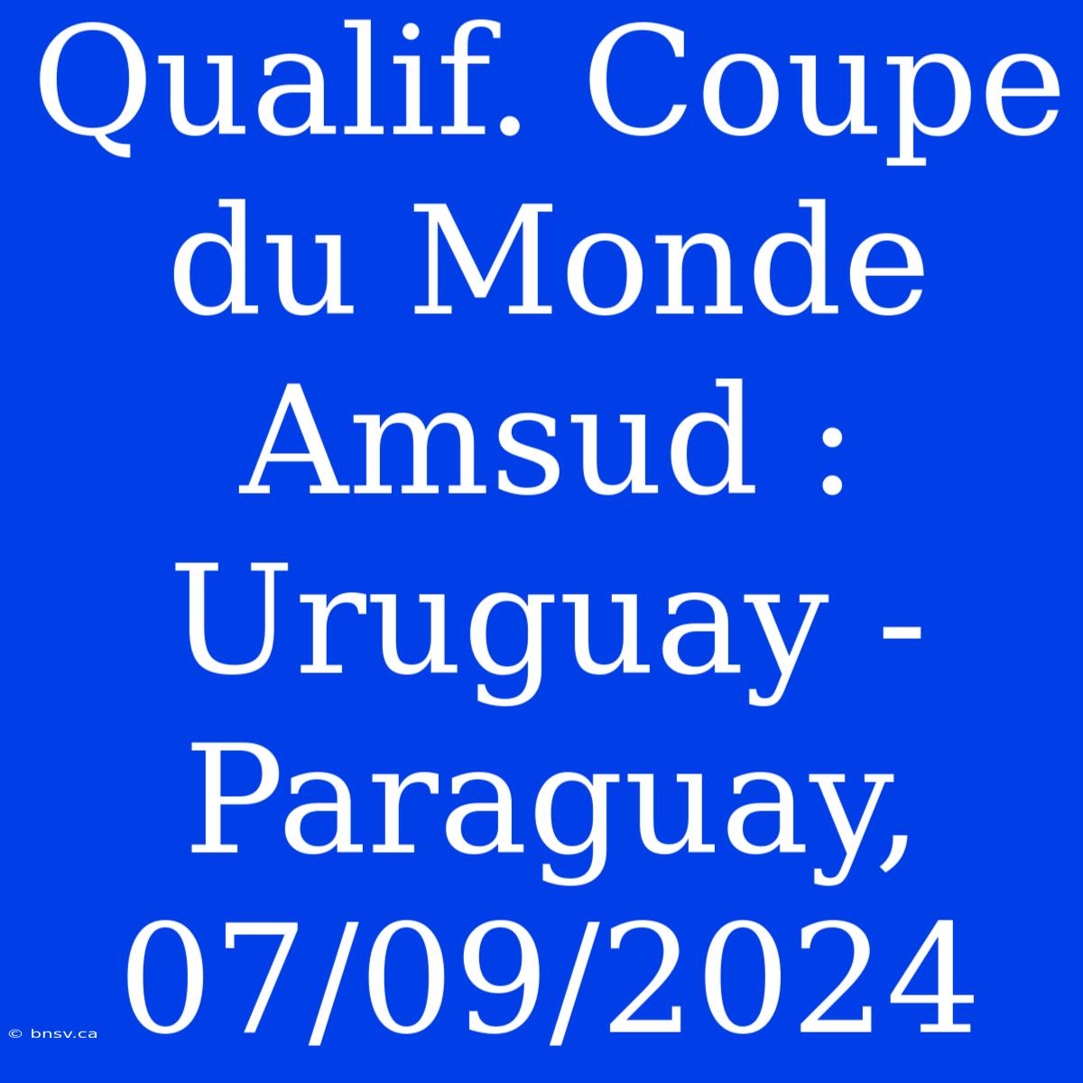 Qualif. Coupe Du Monde Amsud : Uruguay - Paraguay, 07/09/2024