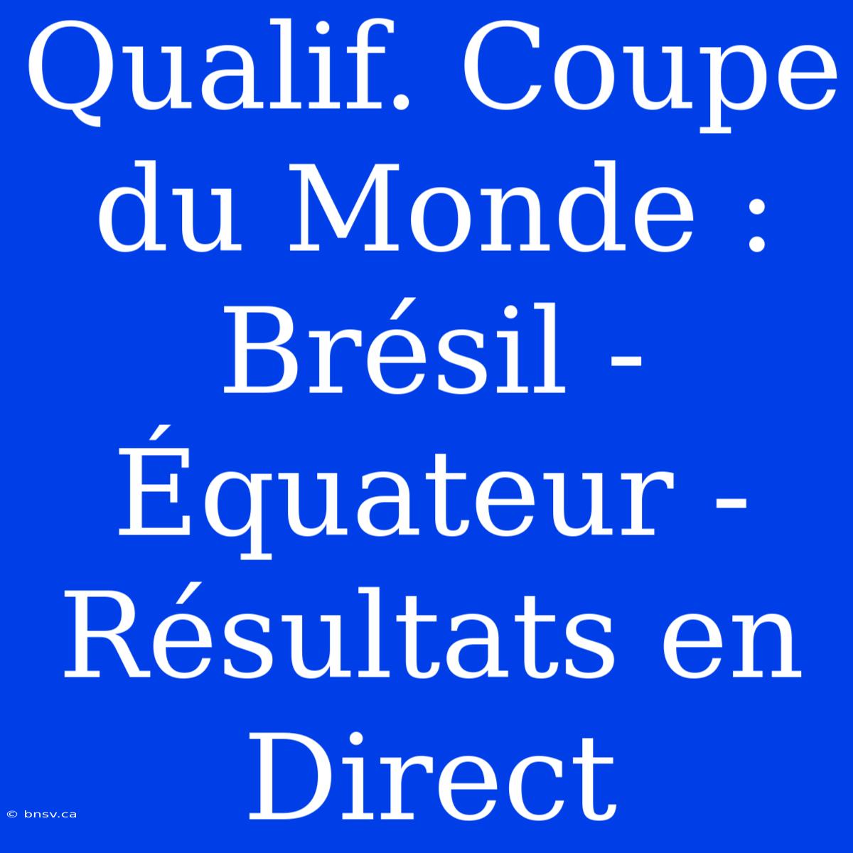 Qualif. Coupe Du Monde : Brésil - Équateur - Résultats En Direct