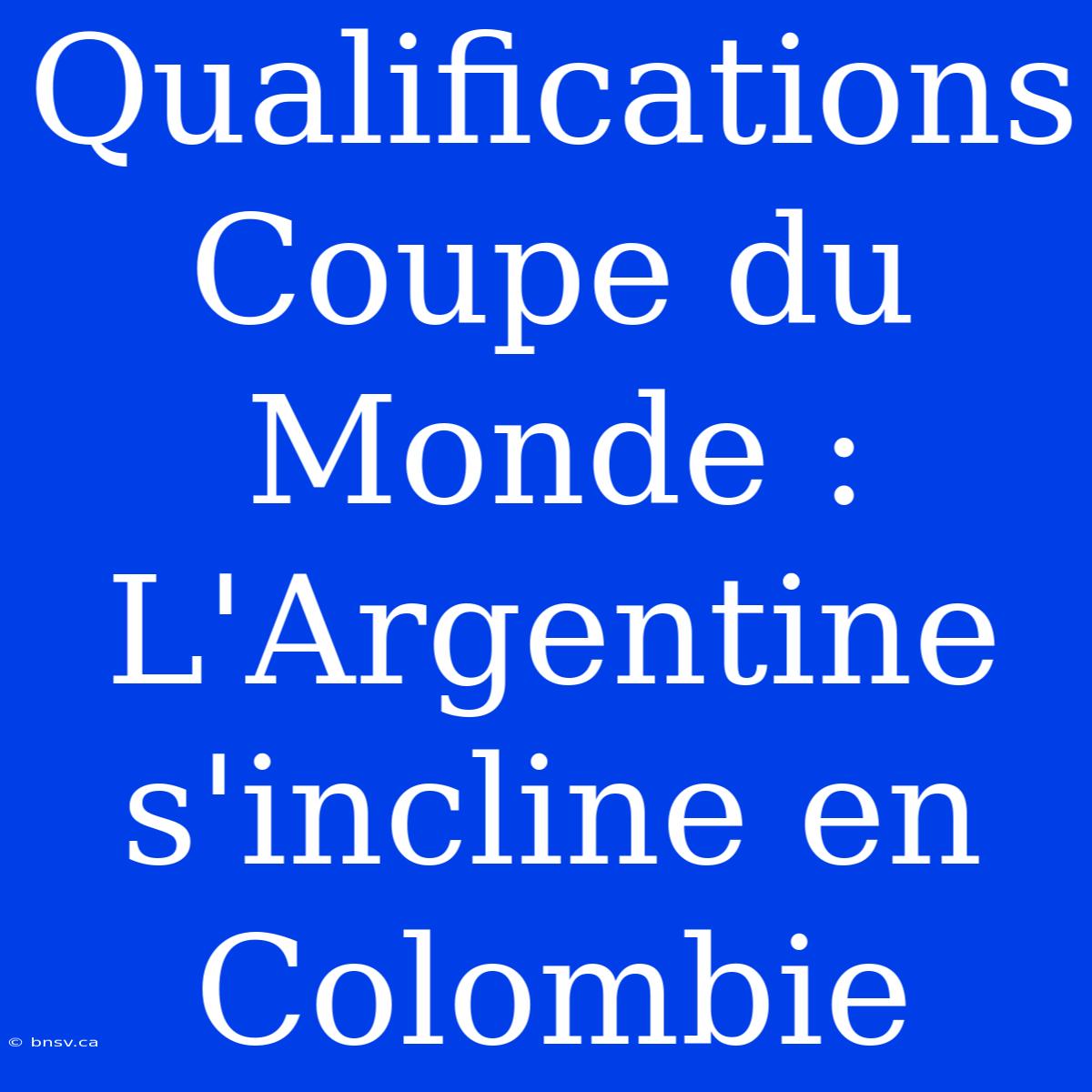 Qualifications Coupe Du Monde : L'Argentine S'incline En Colombie