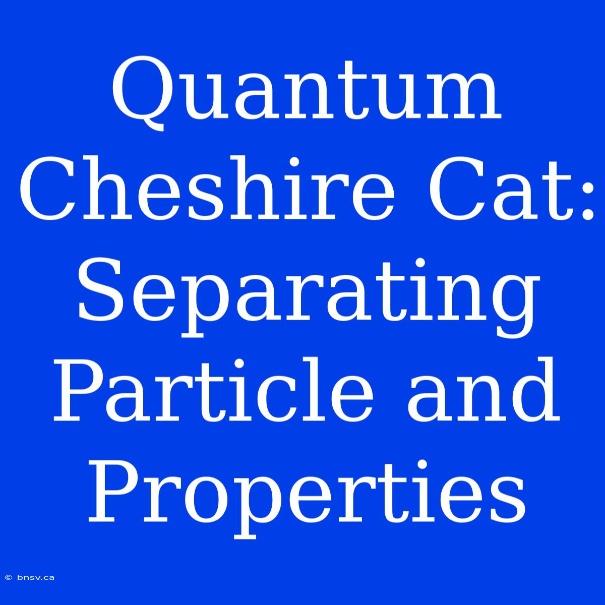 Quantum Cheshire Cat: Separating Particle And Properties