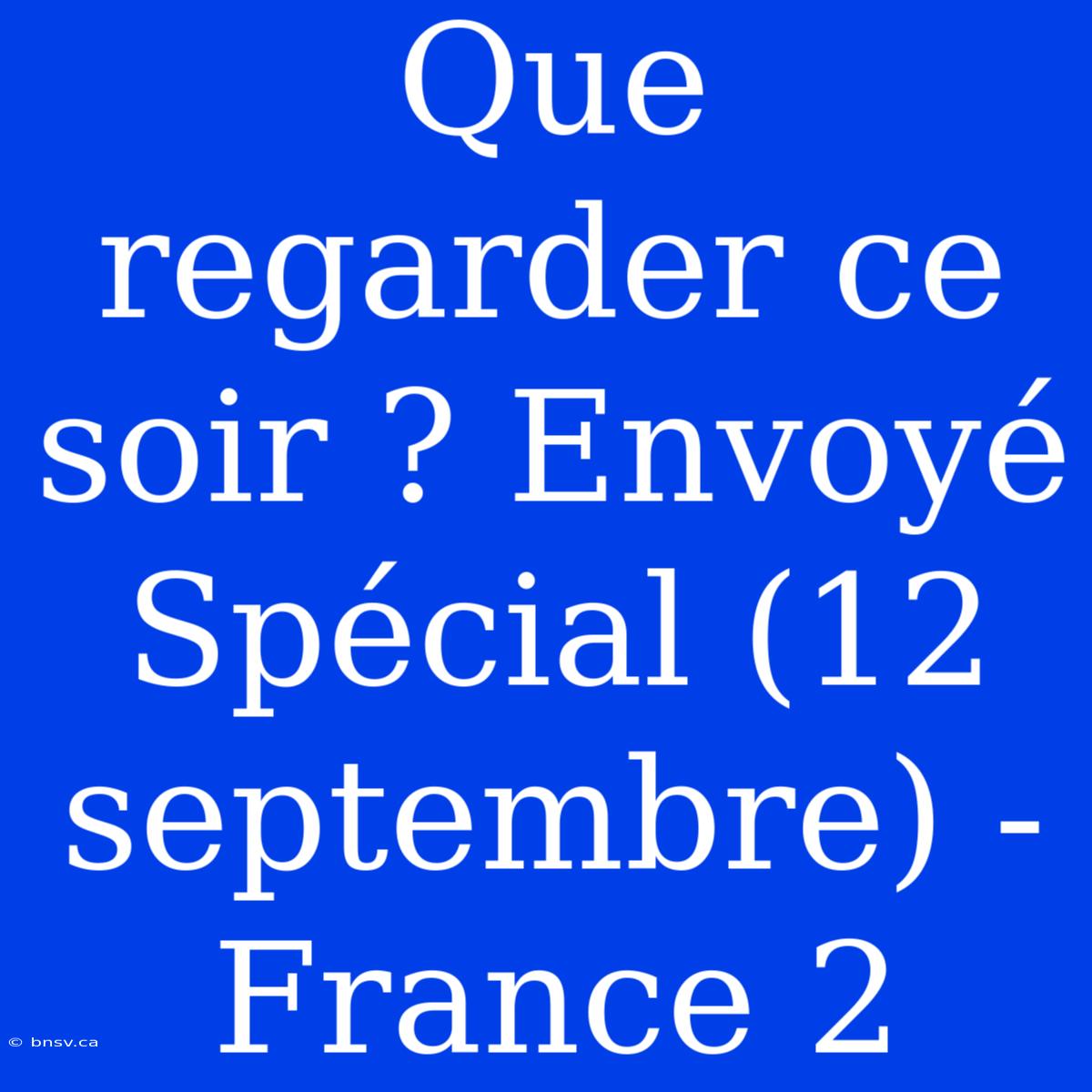 Que Regarder Ce Soir ? Envoyé Spécial (12 Septembre) - France 2