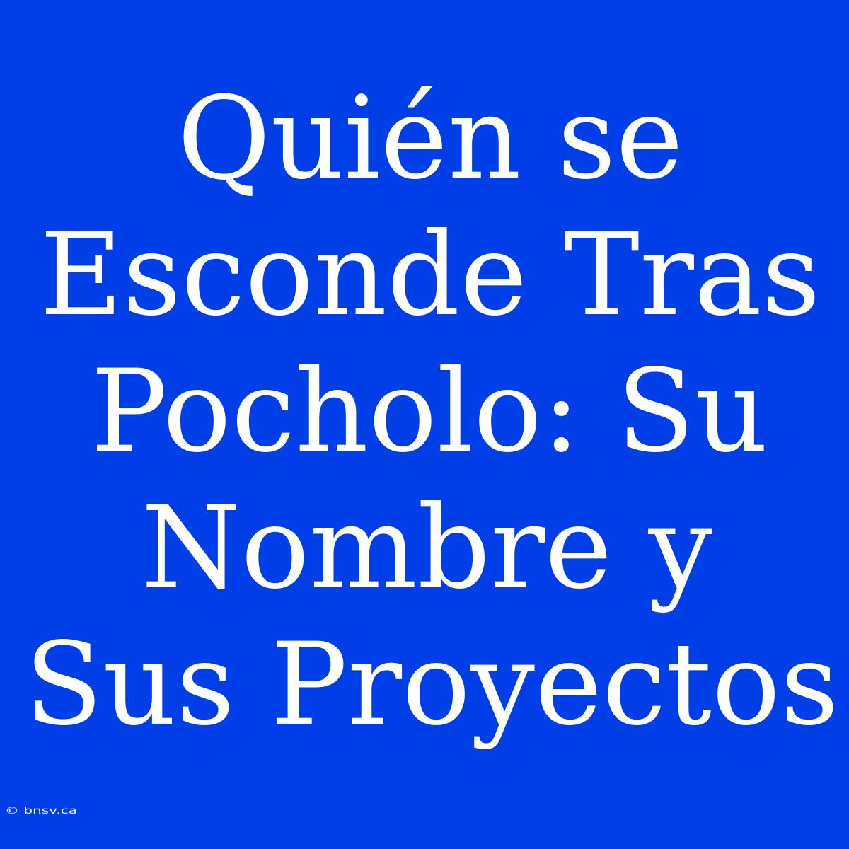 Quién Se Esconde Tras Pocholo: Su Nombre Y Sus Proyectos